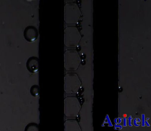 安泰高壓放大器在生命科學中的應(yīng)用(圖2) 安泰高壓放大器在生命科學中的應(yīng)用(圖2)