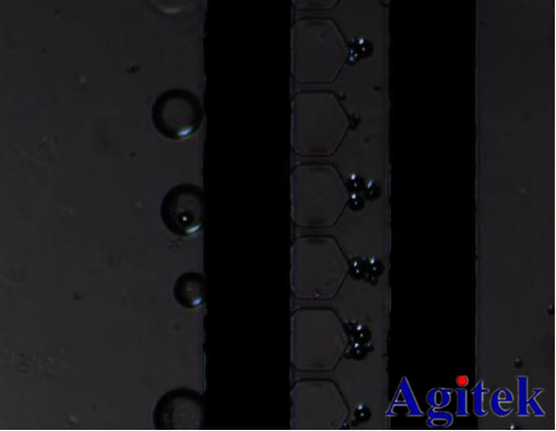 安泰高壓放大器在生命科學中的應(yīng)用(圖3) 安泰高壓放大器在生命科學中的應(yīng)用(圖3)